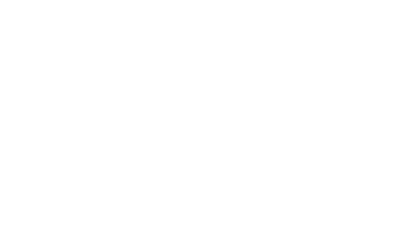 Strategi Capital